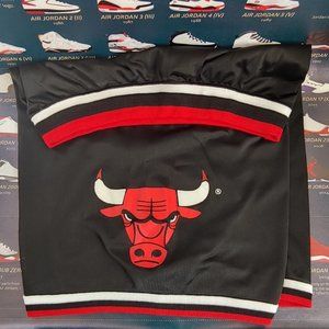 VTG Champion Chicago Bulls basketball shorts